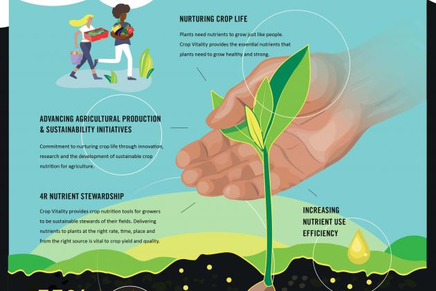 Preview of Crop Vitality Sustainability Poster