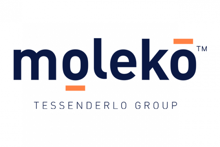 moleko logo